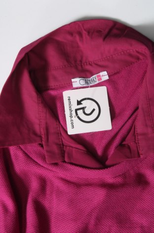 Дамска блуза Carnaby, Размер L, Цвят Розов, Цена 6,65 лв.
