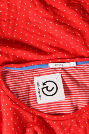 Damen Shirt Cecil, Größe L, Farbe Rot, Preis 8,35 €
