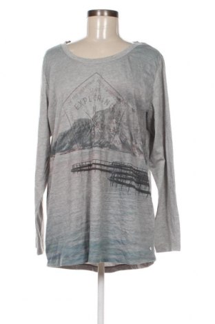 Damen Shirt Cecil, Größe XXL, Farbe Grau, Preis 16,70 €