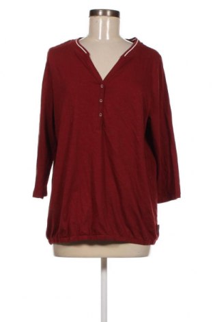 Γυναικεία μπλούζα Cecil, Μέγεθος M, Χρώμα Κόκκινο, Τιμή 5,49 €