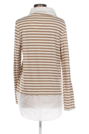 Γυναικεία μπλούζα Chicoree, Μέγεθος XL, Χρώμα Πολύχρωμο, Τιμή 11,75 €
