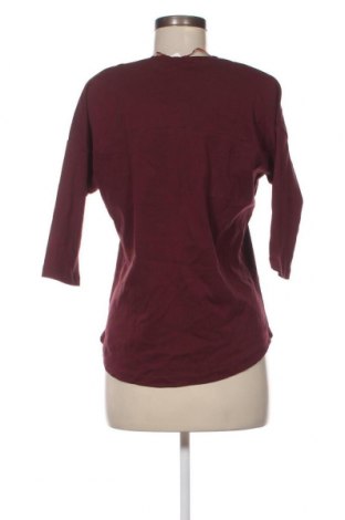 Damen Shirt Chicoree, Größe L, Farbe Rot, Preis 3,97 €