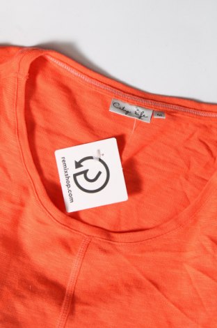 Damen Shirt City life, Größe M, Farbe Orange, Preis € 1,98
