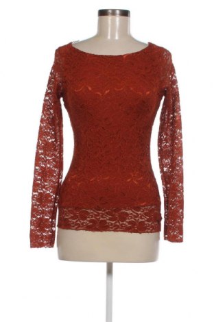 Damen Shirt Coconuda, Größe S, Farbe Orange, Preis 4,51 €