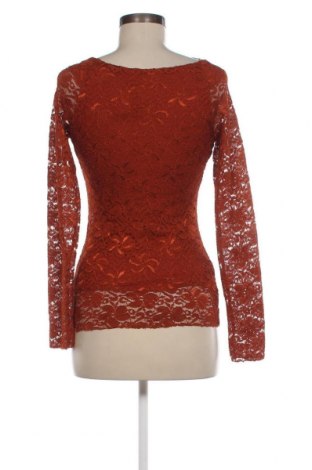 Γυναικεία μπλούζα Coconuda, Μέγεθος S, Χρώμα Πορτοκαλί, Τιμή 2,23 €