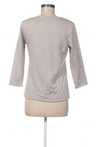 Γυναικεία μπλούζα Collection L, Μέγεθος S, Χρώμα Γκρί, Τιμή 3,41 €