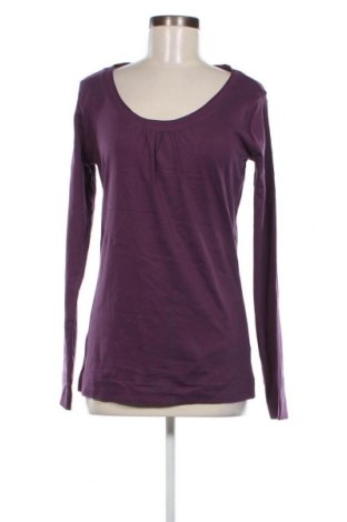 Γυναικεία μπλούζα Colours Of The World, Μέγεθος XL, Χρώμα Βιολετί, Τιμή 5,99 €