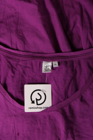 Γυναικεία μπλούζα Cotton On, Μέγεθος XL, Χρώμα Βιολετί, Τιμή 6,46 €