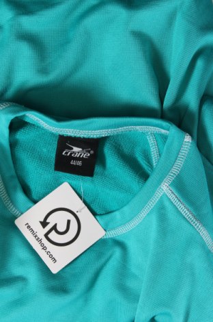 Γυναικεία μπλούζα Crane, Μέγεθος XL, Χρώμα Πράσινο, Τιμή 14,23 €
