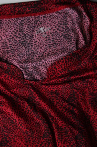 Γυναικεία μπλούζα Crane, Μέγεθος L, Χρώμα Κόκκινο, Τιμή 3,53 €