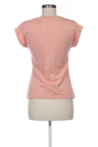 Γυναικεία μπλούζα Dorothy Perkins, Μέγεθος S, Χρώμα Σάπιο μήλο, Τιμή 12,37 €