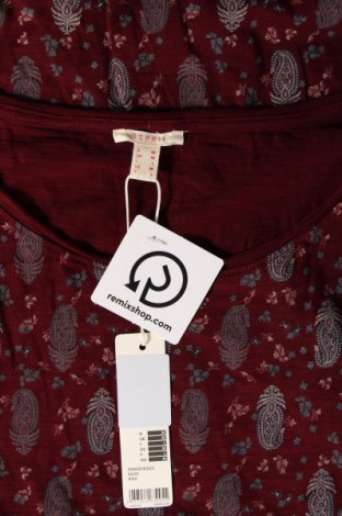 Γυναικεία μπλούζα Esprit, Μέγεθος M, Χρώμα Πολύχρωμο, Τιμή 44,54 €