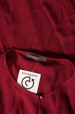 Γυναικεία μπλούζα Esprit, Μέγεθος M, Χρώμα Κόκκινο, Τιμή 2,23 €