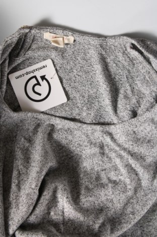 Damen Shirt Esprit, Größe L, Farbe Grau, Preis 3,34 €