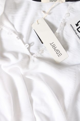 Damen Shirt Esprit, Größe XL, Farbe Weiß, Preis € 37,11