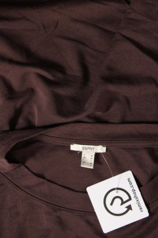 Γυναικεία μπλούζα Esprit, Μέγεθος M, Χρώμα Καφέ, Τιμή 14,85 €