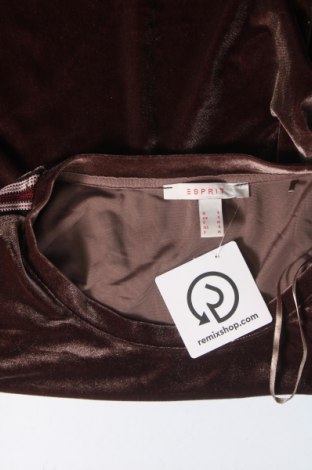 Damen Shirt Esprit, Größe S, Farbe Braun, Preis € 2,51