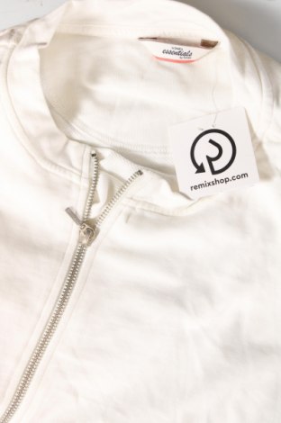 Γυναικεία μπλούζα Essentials by Tchibo, Μέγεθος L, Χρώμα Λευκό, Τιμή 5,29 €