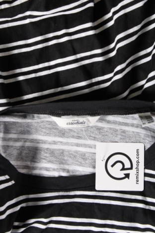 Γυναικεία μπλούζα Essentials by Tchibo, Μέγεθος M, Χρώμα Μαύρο, Τιμή 3,17 €