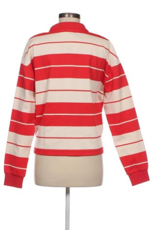 Damen Shirt FILA, Größe L, Farbe Mehrfarbig, Preis 19,45 €