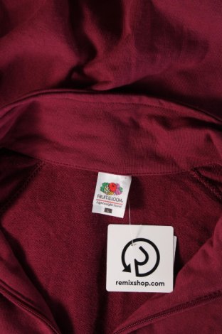 Damen Shirt Fruit Of The Loom, Größe L, Farbe Aschrosa, Preis € 3,57