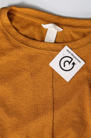 Damen Shirt H&M, Größe S, Farbe Beige, Preis 1,98 €