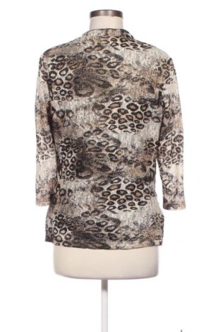 Γυναικεία μπλούζα Hermann Lange, Μέγεθος L, Χρώμα Πολύχρωμο, Τιμή 2,23 €
