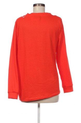 Γυναικεία μπλούζα Janina, Μέγεθος XXL, Χρώμα Πορτοκαλί, Τιμή 11,75 €