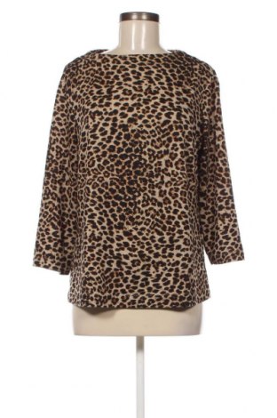 Γυναικεία μπλούζα Kate Storm, Μέγεθος L, Χρώμα Πολύχρωμο, Τιμή 3,42 €