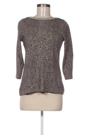 Γυναικεία μπλούζα Kate Storm, Μέγεθος S, Χρώμα Πολύχρωμο, Τιμή 2,23 €