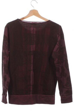 Damen Shirt Liebeskind, Größe XS, Farbe Mehrfarbig, Preis € 9,67