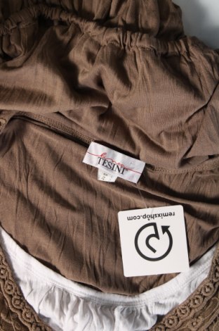 Damen Shirt Linea Tesini, Größe S, Farbe Braun, Preis 2,84 €