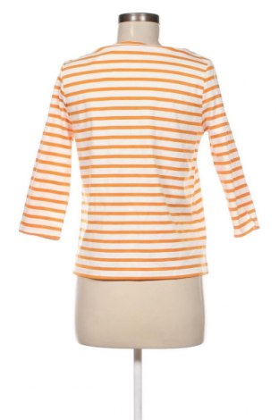 Γυναικεία μπλούζα More & More, Μέγεθος M, Χρώμα Πολύχρωμο, Τιμή 8,62 €