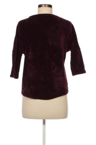 Damen Shirt Orsay, Größe XS, Farbe Rot, Preis € 3,49