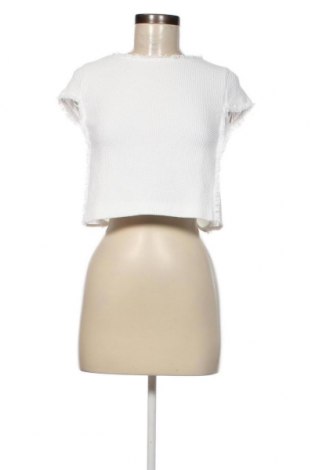 Damen Shirt Pinko, Größe XS, Farbe Weiß, Preis 65,26 €