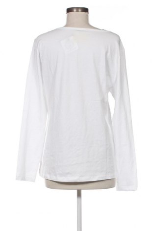 Γυναικεία μπλούζα Rainbow, Μέγεθος XL, Χρώμα Λευκό, Τιμή 6,35 €