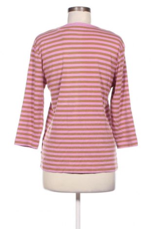 Γυναικεία μπλούζα Redgreen, Μέγεθος XXL, Χρώμα Πολύχρωμο, Τιμή 11,88 €