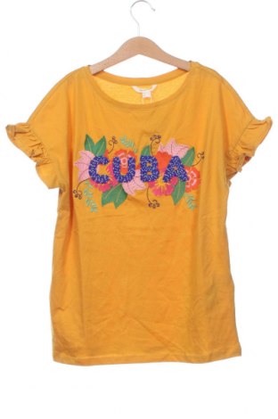 Damen Shirt Springfield, Größe XS, Farbe Orange, Preis 20,62 €