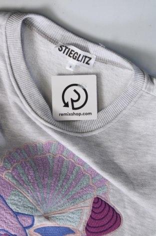 Γυναικεία μπλούζα Stieglitz, Μέγεθος S, Χρώμα Γκρί, Τιμή 7,89 €