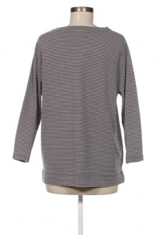 Γυναικεία μπλούζα Sure, Μέγεθος XL, Χρώμα Πολύχρωμο, Τιμή 3,88 €