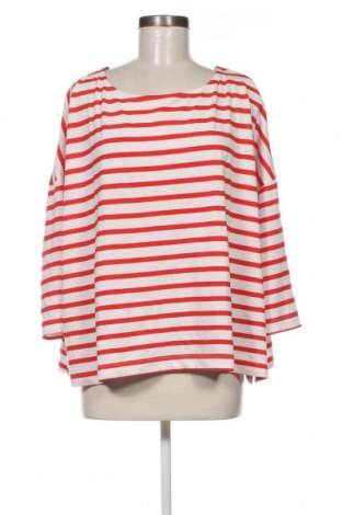 Γυναικεία μπλούζα TCM, Μέγεθος XL, Χρώμα Πολύχρωμο, Τιμή 5,52 €