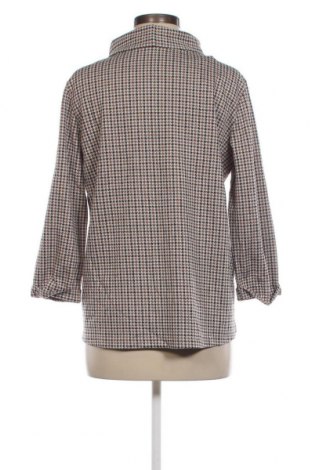 Γυναικεία μπλούζα Tom Tailor, Μέγεθος XL, Χρώμα Πολύχρωμο, Τιμή 3,86 €