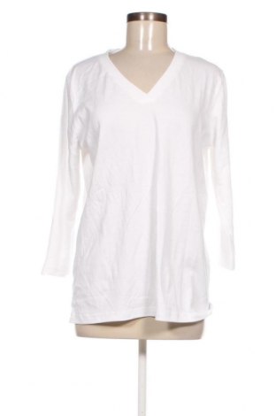 Γυναικεία μπλούζα Trigema, Μέγεθος XL, Χρώμα Λευκό, Τιμή 20,40 €