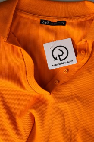 Damen Shirt Zara, Größe S, Farbe Orange, Preis 8,04 €