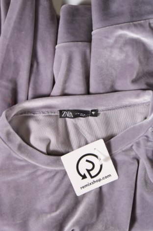 Damen Shirt Zara, Größe M, Farbe Lila, Preis 13,92 €