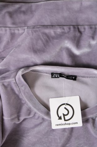 Damen Shirt Zara, Größe S, Farbe Lila, Preis 13,92 €