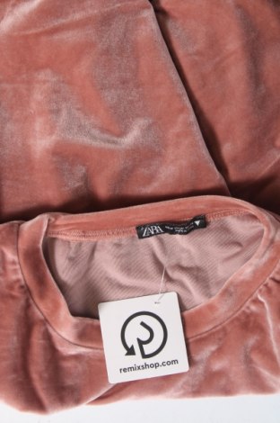 Γυναικεία μπλούζα Zara, Μέγεθος M, Χρώμα Σάπιο μήλο, Τιμή 12,37 €