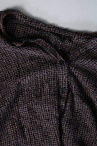 Damen Shirt Zara Trafaluc, Größe M, Farbe Mehrfarbig, Preis 7,62 €