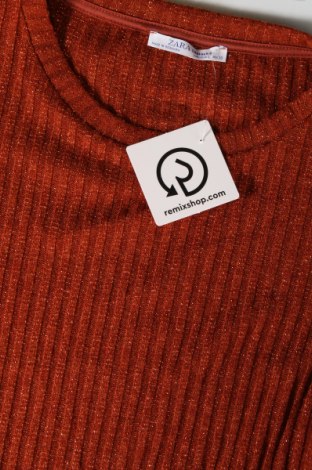 Γυναικεία μπλούζα Zara Trafaluc, Μέγεθος L, Χρώμα Καφέ, Τιμή 3,99 €