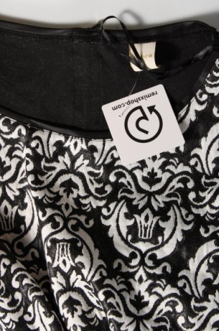 Γυναικεία μπλούζα Zebra, Μέγεθος S, Χρώμα Πολύχρωμο, Τιμή 3,17 €